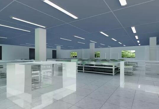 �ό��S���b���OӋ