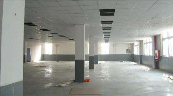 �ό����S�b���OӋ