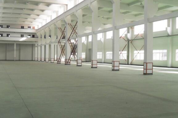 �ό����S�b���OӋ