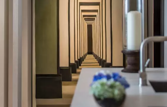 �ό������OӋ