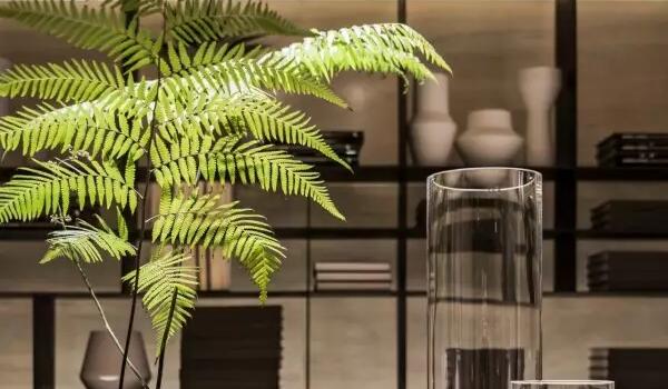 �ό������b��