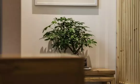 �ό�����Ժ��(hu��)���b���O(sh��)Ӌ(j��)