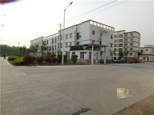 �ό����S�b���O(sh��)Ӌ(j��)