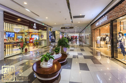 �̘I���g�b��Ч���D