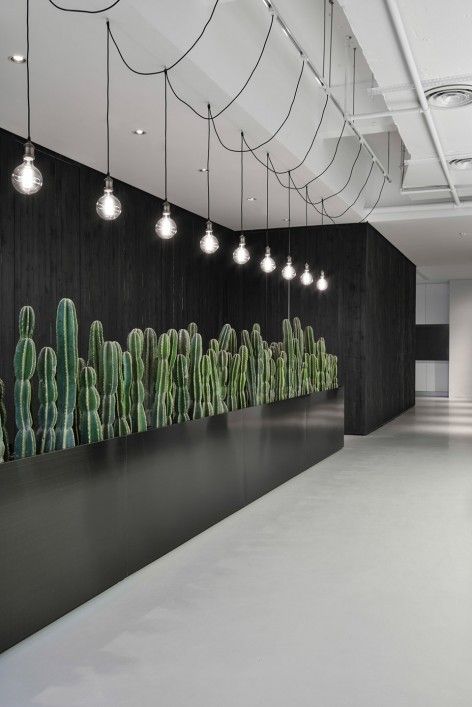 �k�����OӋЧ���D