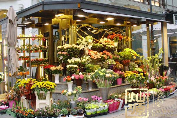 �����b�ތ����D