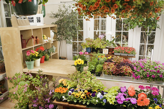 �����b��Ч���D